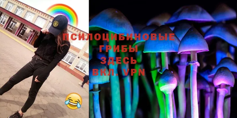 Галлюциногенные грибы Magic Shrooms  Ступино 